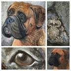 Nessa - Bullmastiff