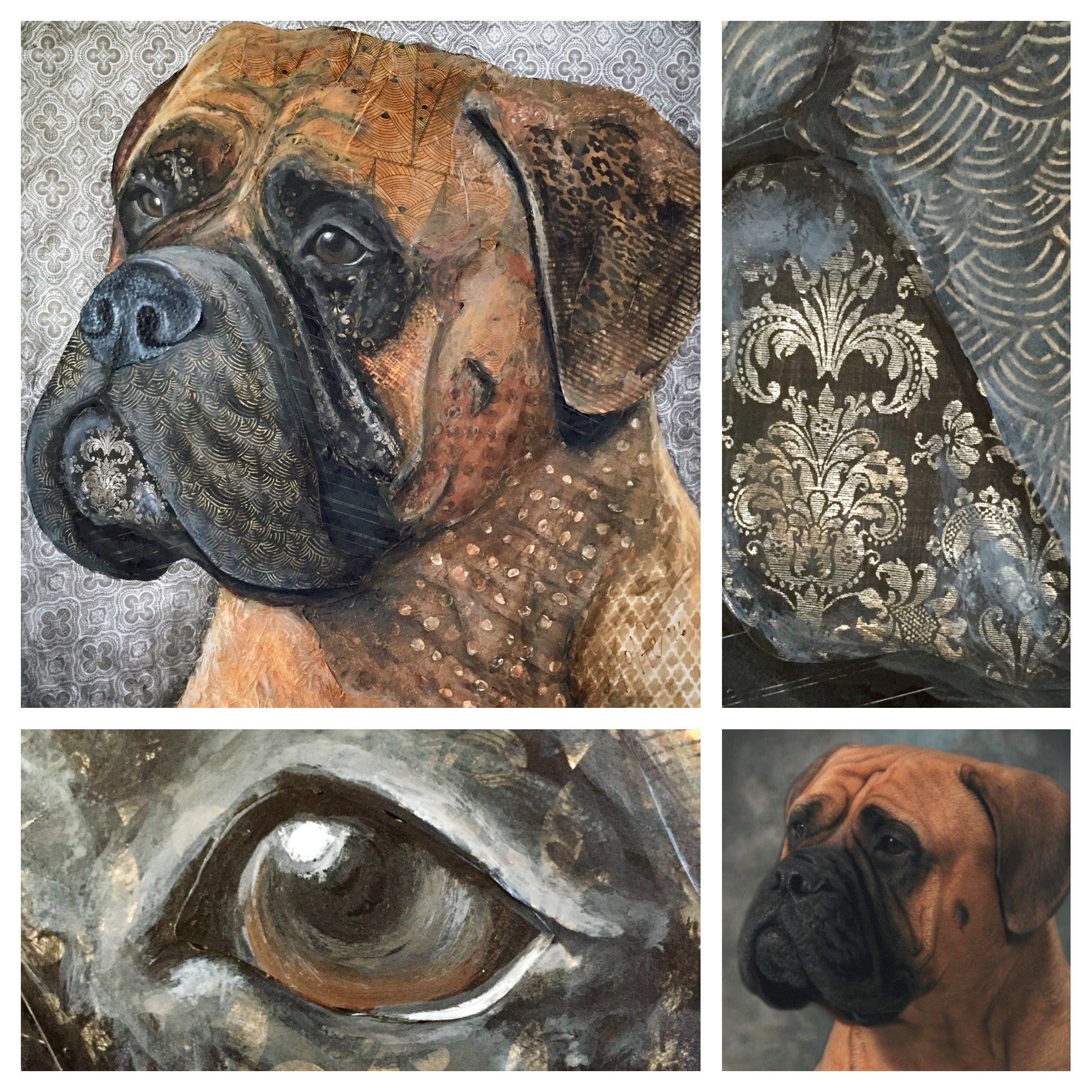Nessa - Bullmastiff
