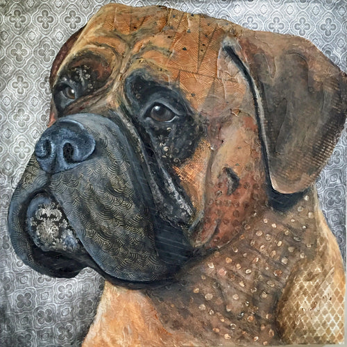 Nessa - Bullmastiff