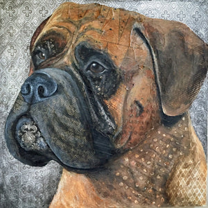 Nessa - Bullmastiff