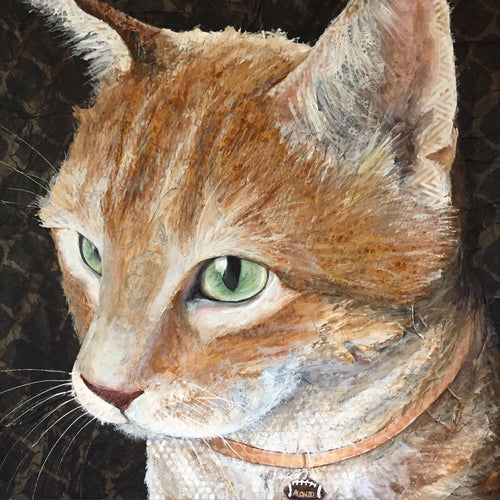 Alonzo - Tabby Cat