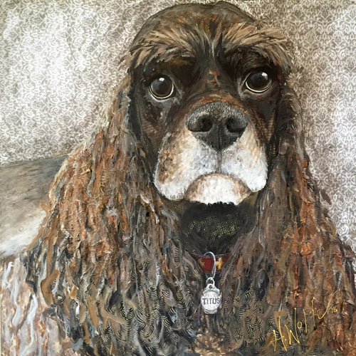 Titus - Cocker Spaniel