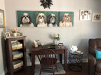 Grace - Shih Tzu