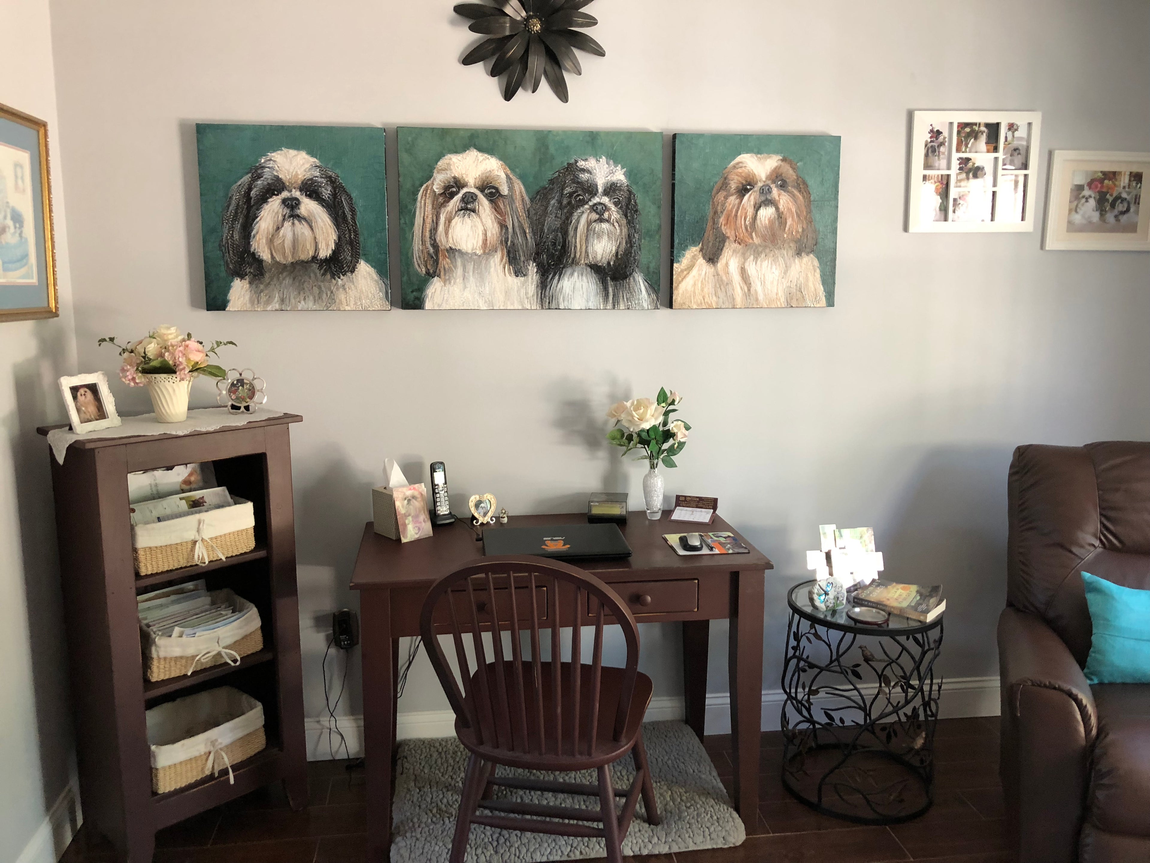 Grace - Shih Tzu