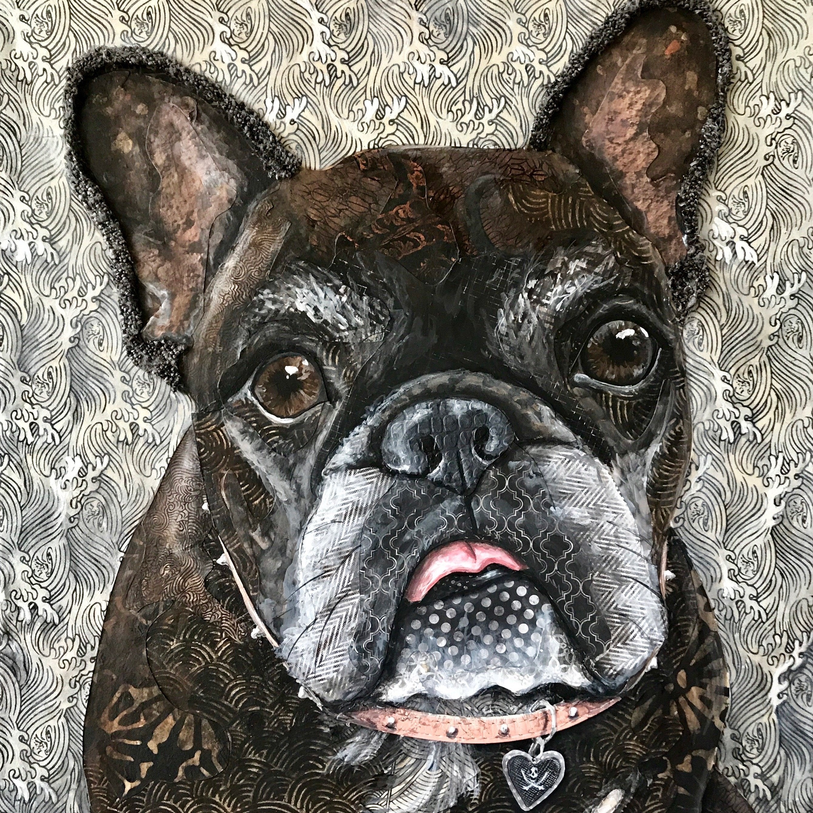 Pickles - French Bulldog