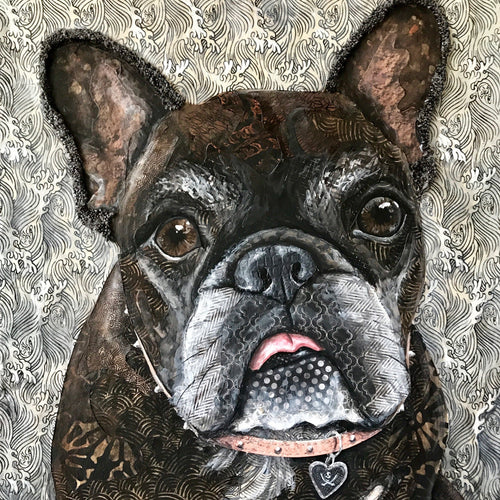 Pickles - French Bulldog