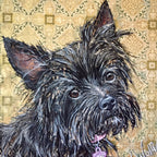 Pearl - All American Carin Terrier Mix Chihuahua