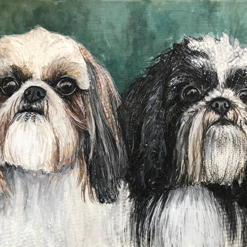 Shih-Tzu 2 in 1