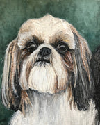 Shih-Tzu 2 in 1