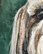 Shih-Tzu 2 in 1