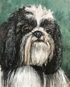 Shih-Tzu 2 in 1