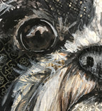 Shih-Tzu 2 in 1