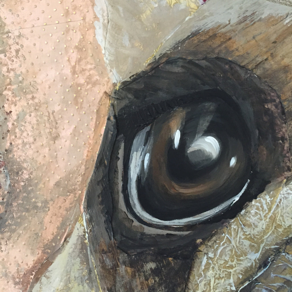 Fifi - French Bulldog