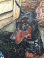 Amira - Doberman Pinscher