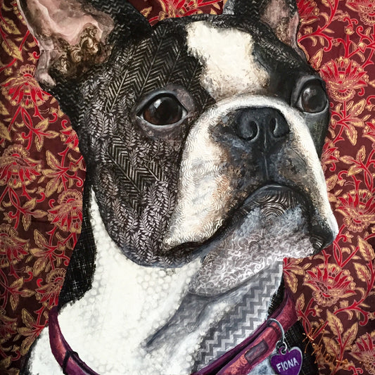 Fiona - Boston Terrier