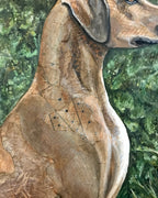 Liberty - Rhodesian Ridgeback