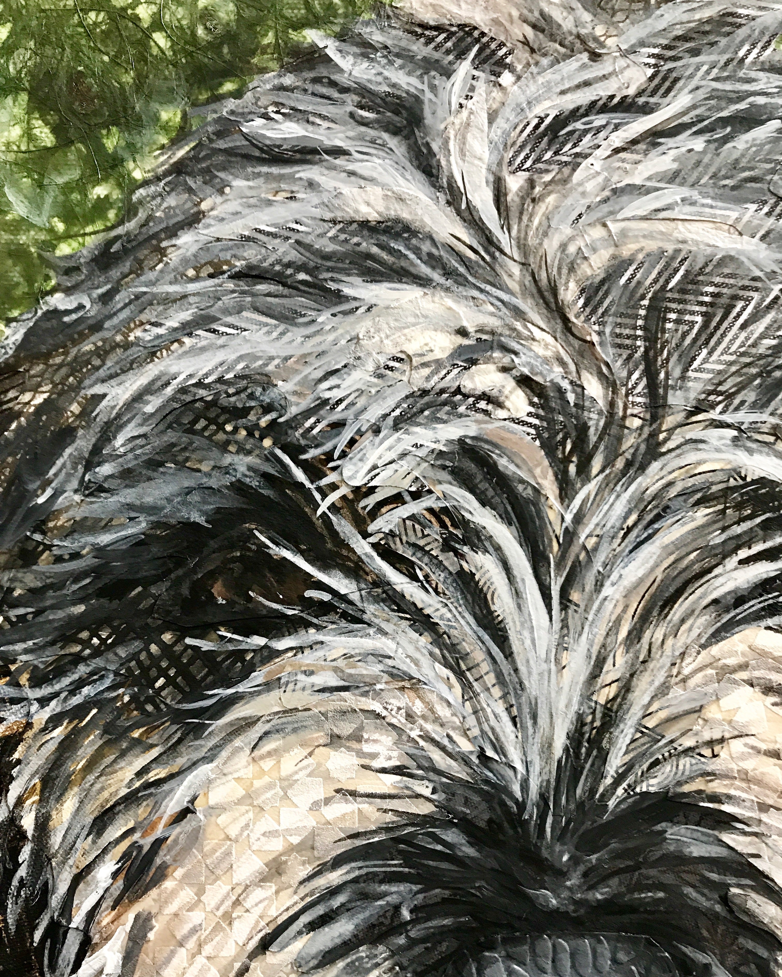 Peyton - PBGV