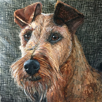 Mocha - Irish Terrier