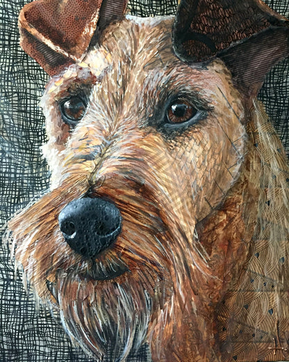 Mocha - Irish Terrier