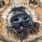Spoon - Kunekune Pig