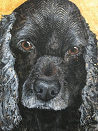 Basia - Crocker Spaniel