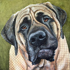 Mulson - Mastiff