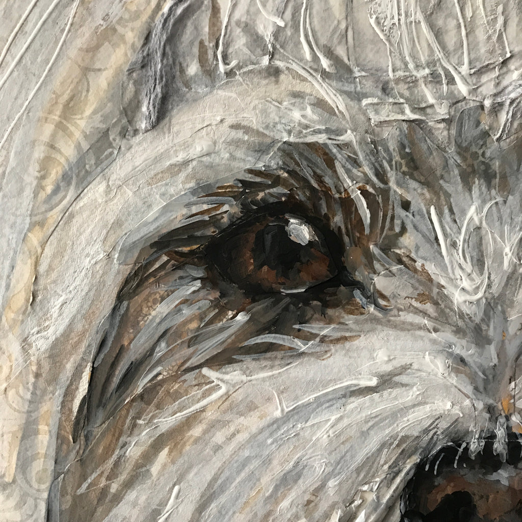 Tina - Maltese