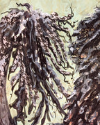 Gus - Portuguese Water Dog