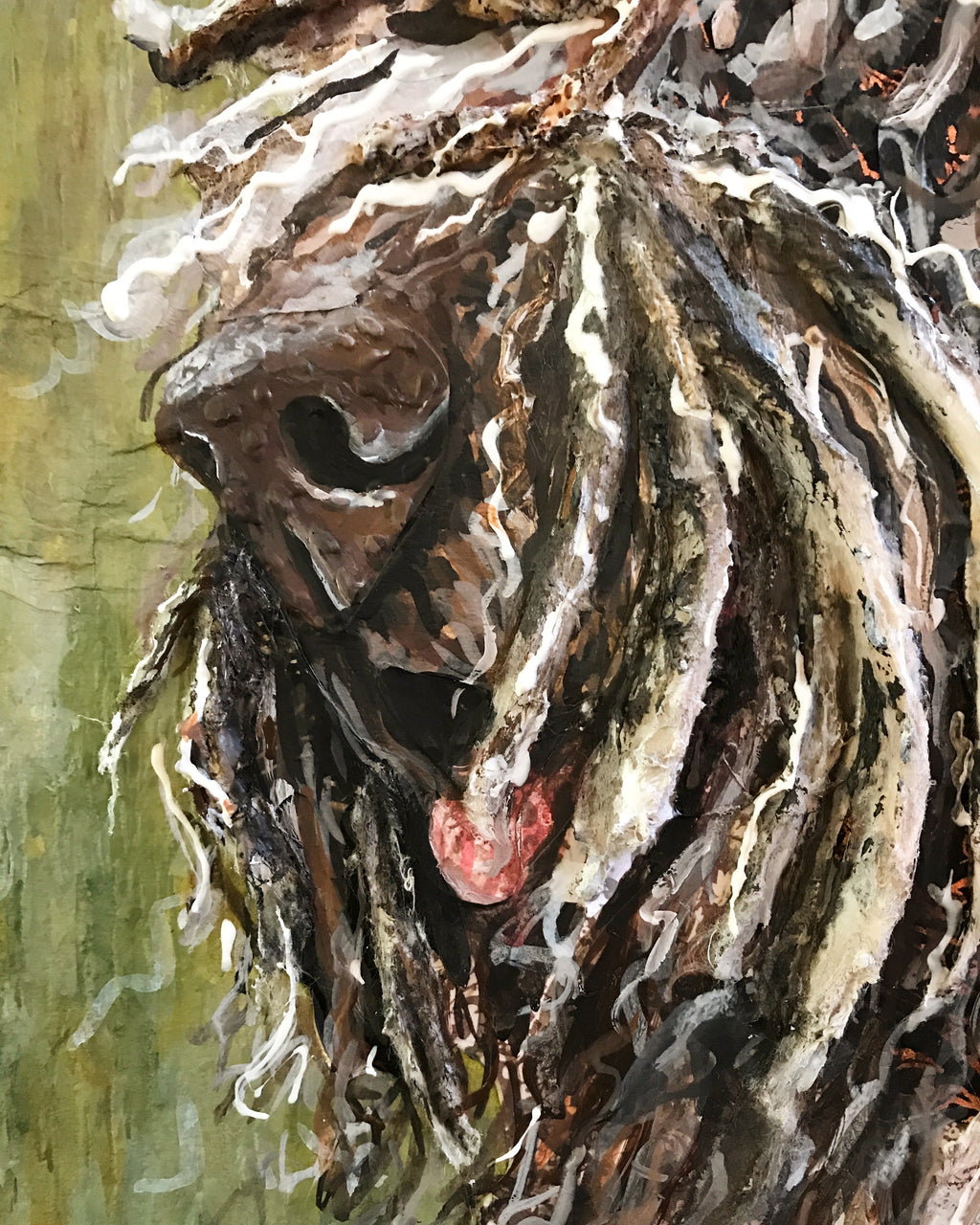 Jango - Spanish Water Dog