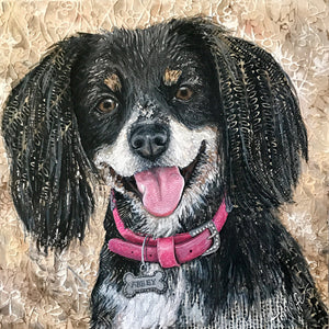 Abby - King Charles Cavalier/ Cocker Spaniel Mix