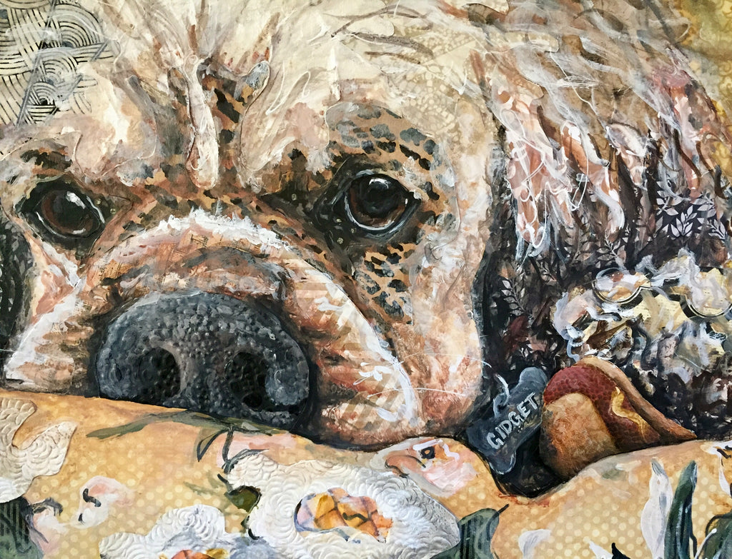 Gidget - Cocker Spaniel