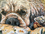 Gidget - Cocker Spaniel