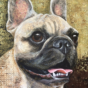Pixie - French Bulldog