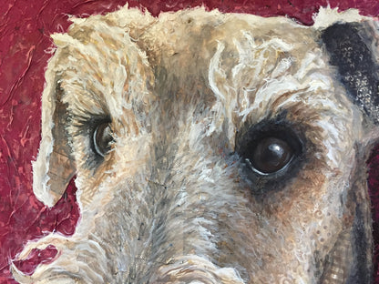 Walter - Airedale Terrier