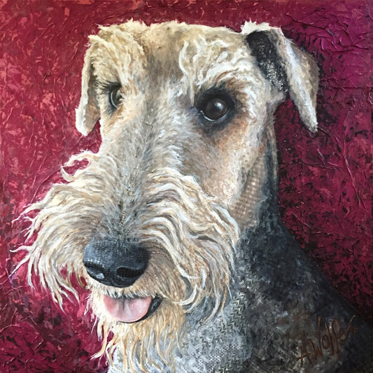 Walter - Airedale Terrier
