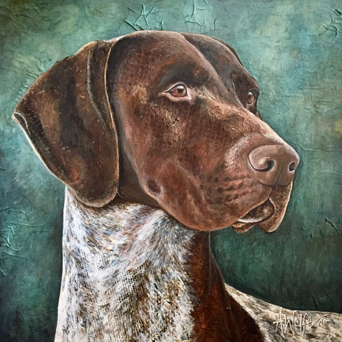 CJ - German Shorthaired Pointer