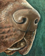 CJ - German Shorthaired Pointer