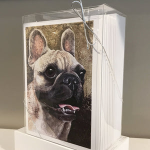 + Note Cards