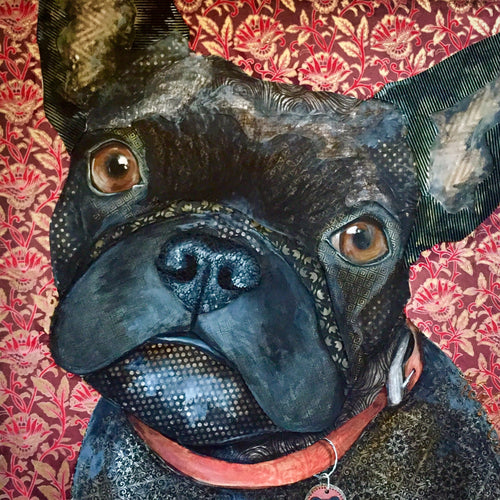 Izzy - French Bulldog