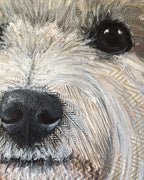 Boaty & Cooper - West Highland Terriers