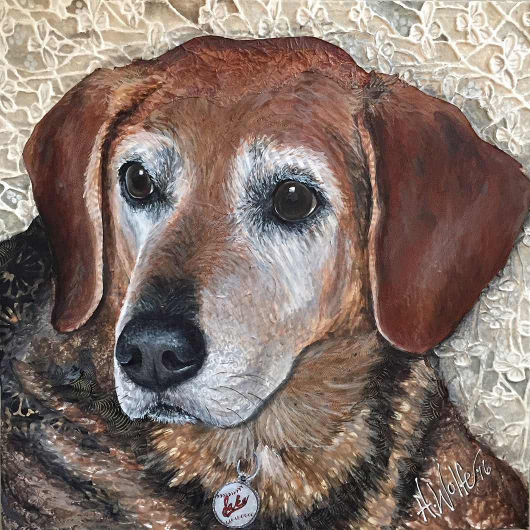Jake - Beagle