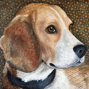 Beagle