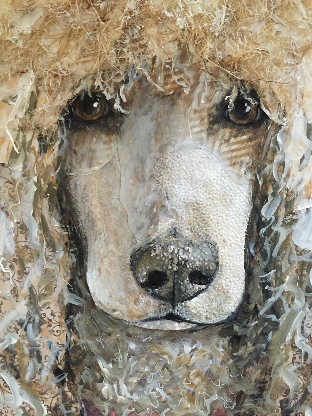 Fiona May - Standard Poodle