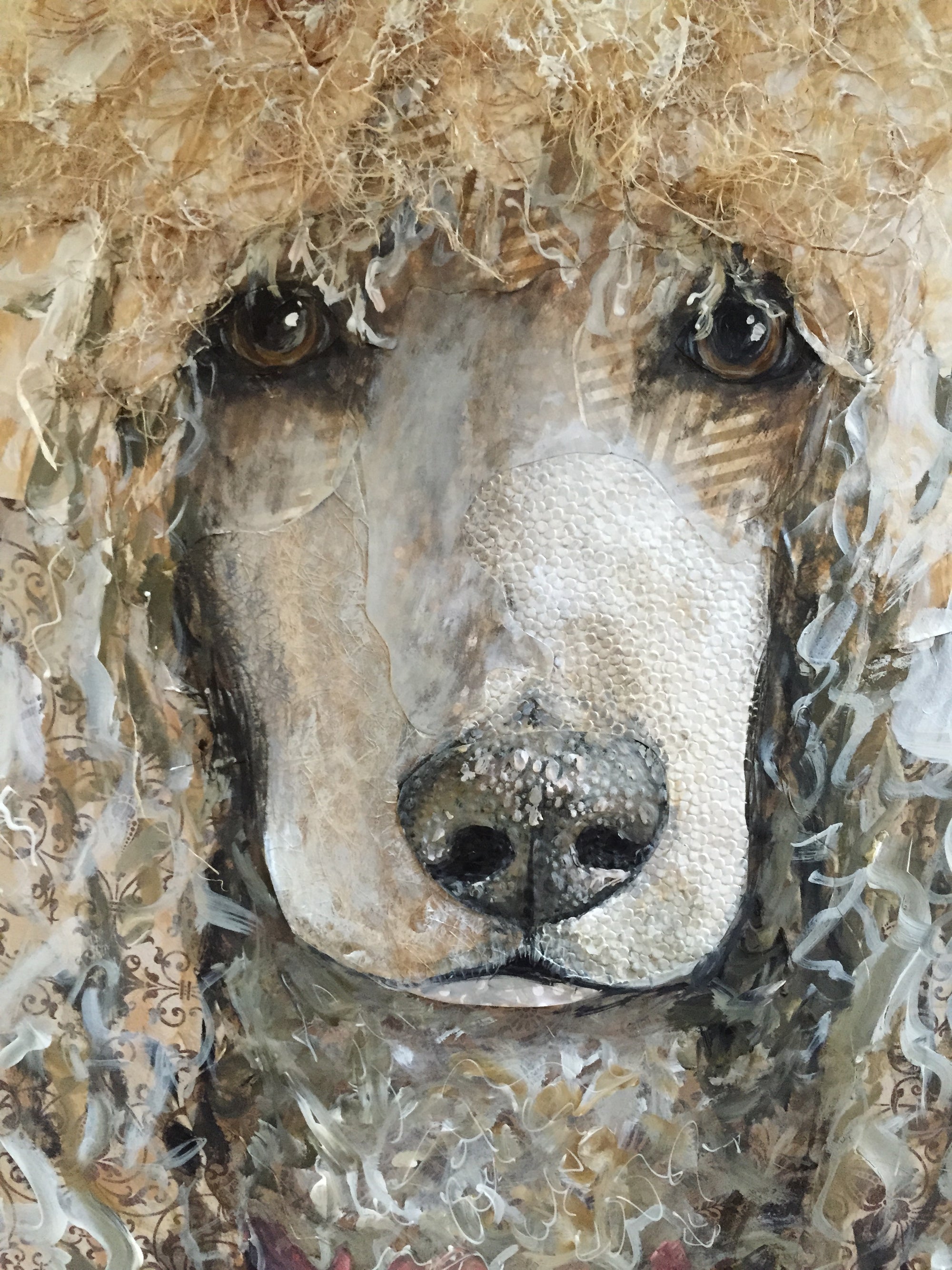 Fiona May - Standard Poodle