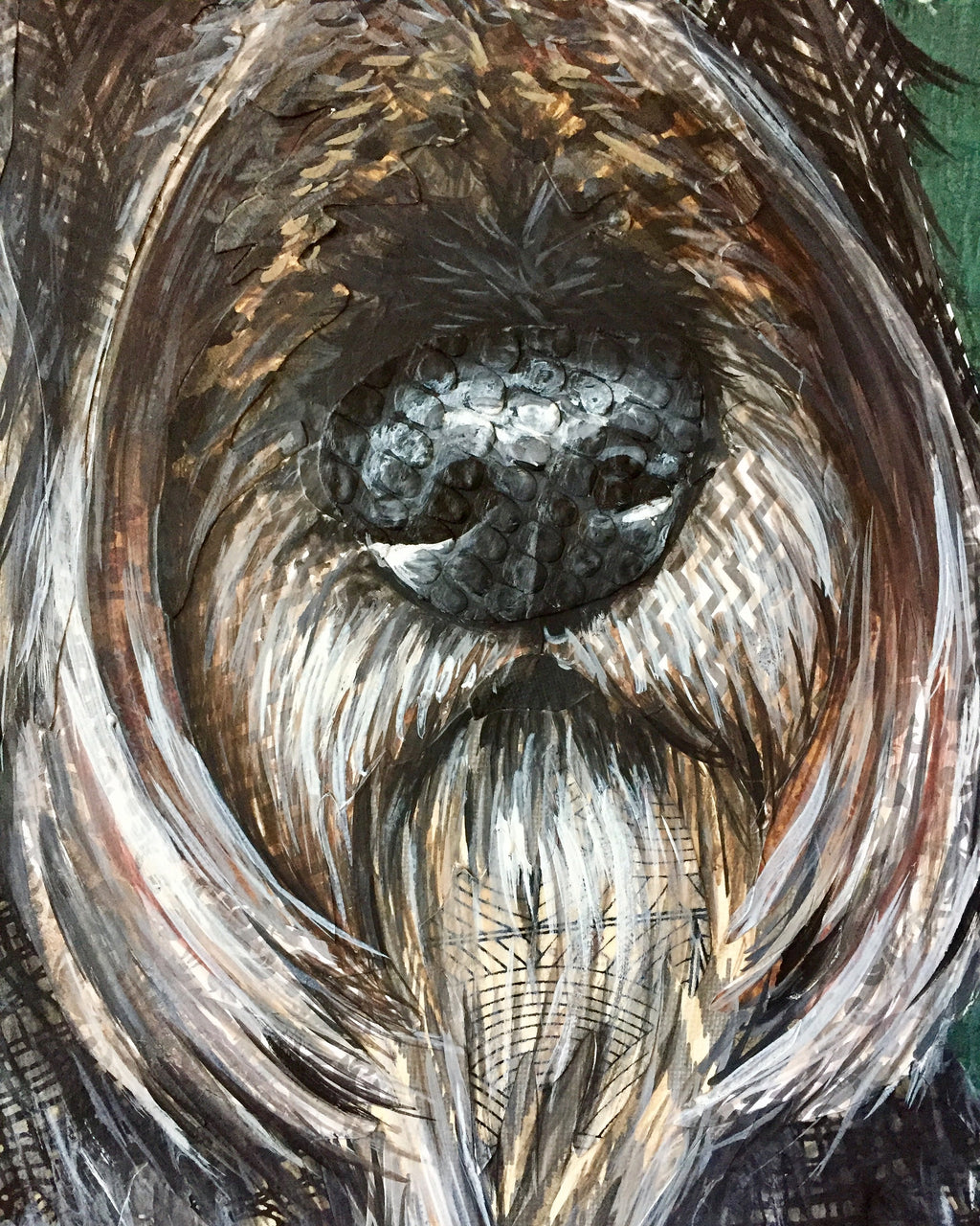 Stanley - Standard Schnauzer