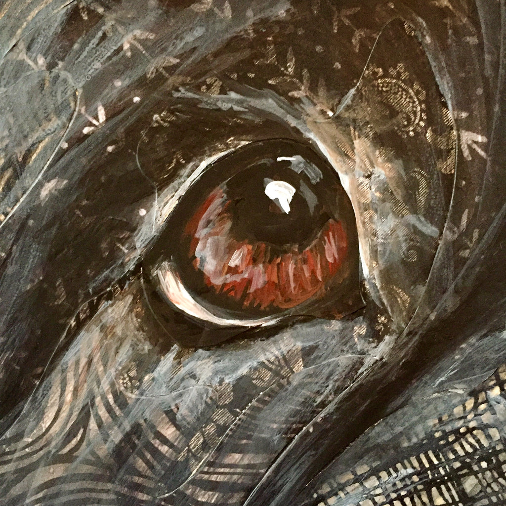 Finley - Newfoundland