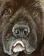 Finley - Newfoundland