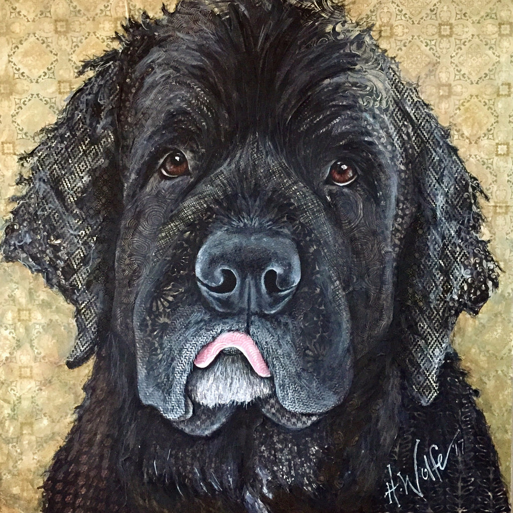 Finley - Newfoundland