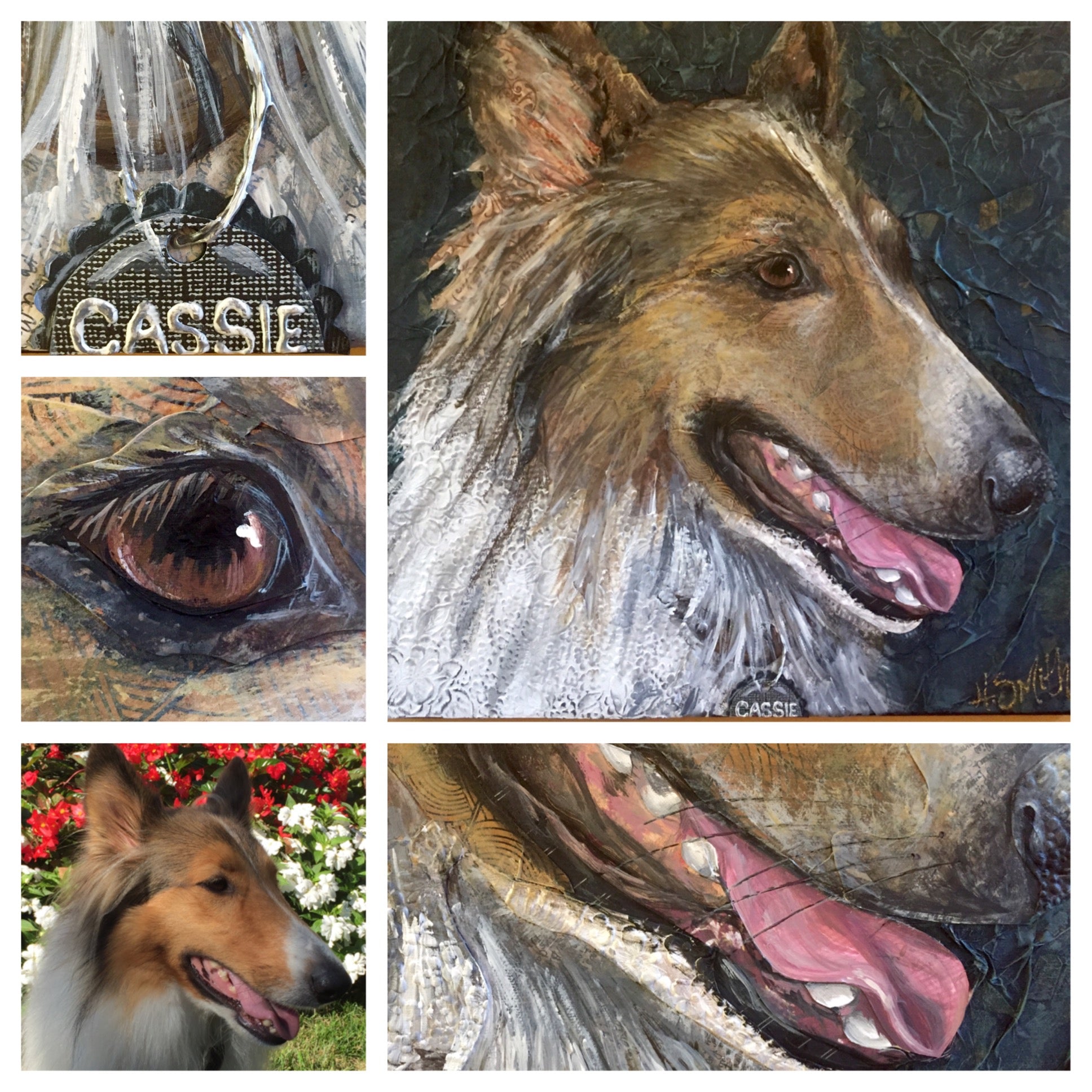 Cassie - Rough Collie