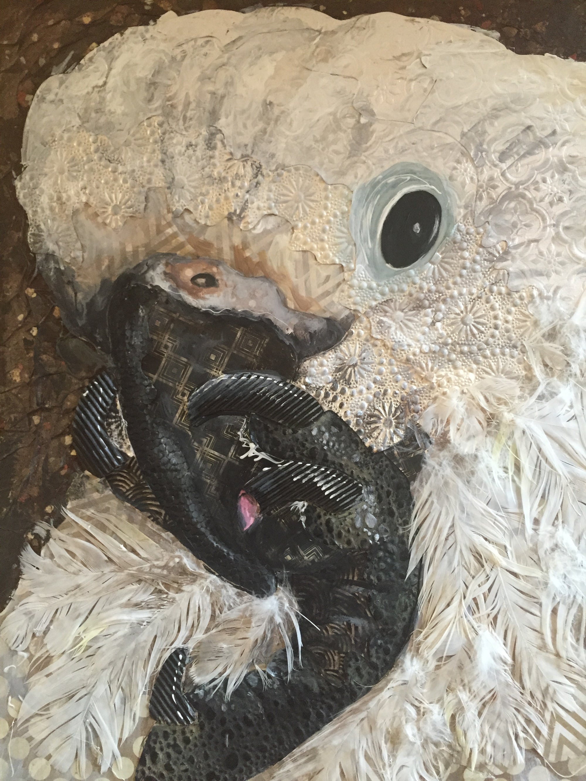 Sophie - Cockatoo